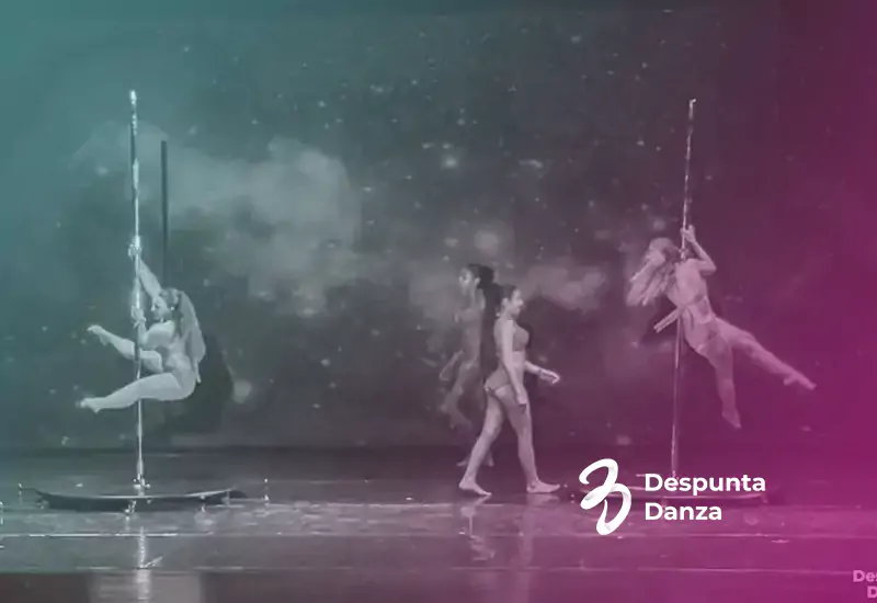 poledance-01-67658b755c1cc